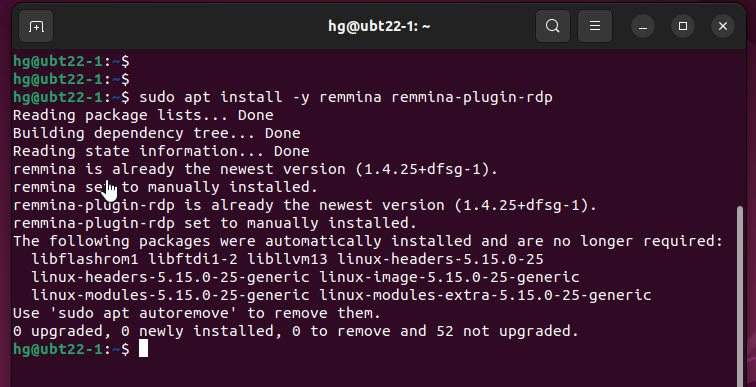 Install remmina apps