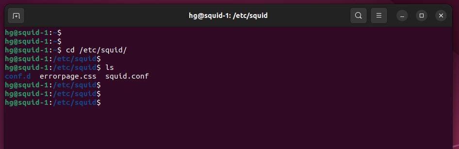 install-squid-proxy-server-on-ubuntu