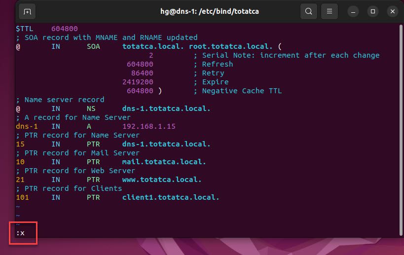 install-dns-server-on-ubuntu