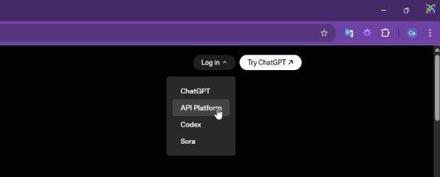 create-openai-api-key_05