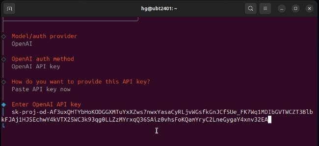 install-openclaw-on-linux-ubuntu_10