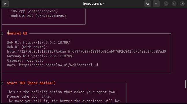 install-openclaw-on-linux-ubuntu_13